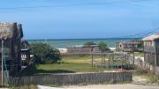 Top Manaure