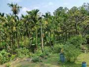 Top Sringeri