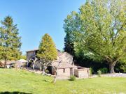 Top Todi