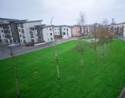 Swansea Marina & Beach Retreat - 3 Bed & Parking