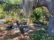 Top Port Charlotte