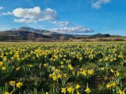 Top Égliseneuve-dʼEntraigues