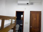 Sweet Dreams Necocli