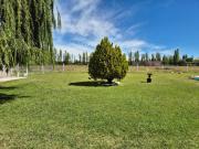 Cabañas el paraíso