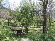 Jibhi Garden Heritage Home Stay