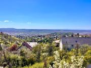 Top Pécs