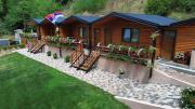 Top Sisevac