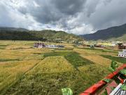 Top Chaukhutia