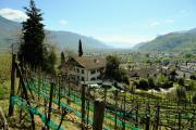 Oberjaistenhof