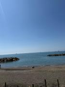 Top Salerno
