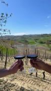 Top Montegrosso dʼAsti