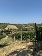Top Montegrosso dʼAsti