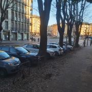 Top Pavia