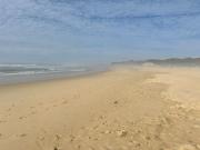 Top Seafield