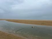 Top Seafield