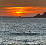 Top Mazatlán