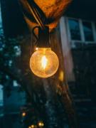 Top Mineral del Chico