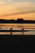Top Ancud