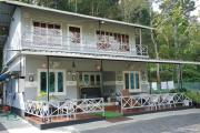 Top Wayanad