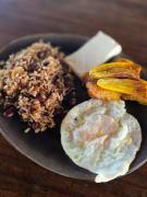 Indigo Eco Camping Experience