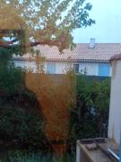 Top LʼIsle-sur-la-Sorgue