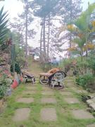 Top Sagada Top Sagada