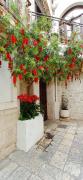 Top Trogir