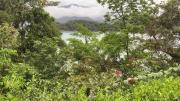 Top Paraty