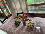 La Huerta Comfortable little house and charming garden