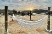 Top Joshua Tree