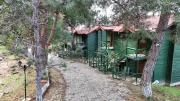Top Amasra