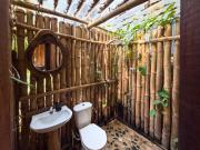 Dacnis tayrona glamping