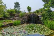 Top Berrien Springs