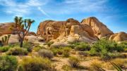 Top Yucca Valley Top Yucca Valley