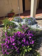 Top Porto Alabe