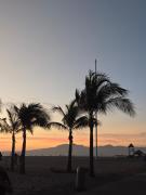 Top Nuevo Vallarta