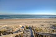 Top Surf City