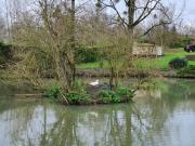 Top Saint-Hilaire-des-Loges