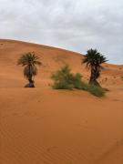 Top Merzouga