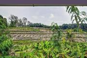 Top Neriyamangalam