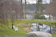 Top Mullsjö