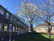 Top Bristol