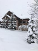 Chalet Colenfrey - Chalet 5 pièces 10 personnes 4 étoiles exposé Sud MAE-8314