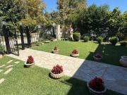 Top Paralía Skotínis