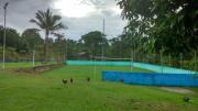 Top Manaus