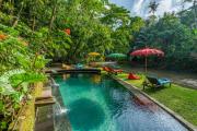 Top Ubud Top Ubud