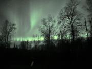Top Wasilla