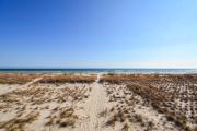 Top Topsail Beach