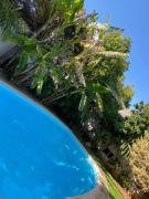 Top Kalívia Thorikoú