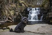 Top Barnard Castle